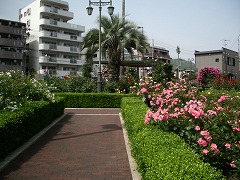 c0190010_2157974.jpg