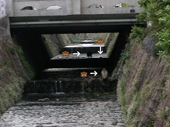 c0190010_2285913.jpg