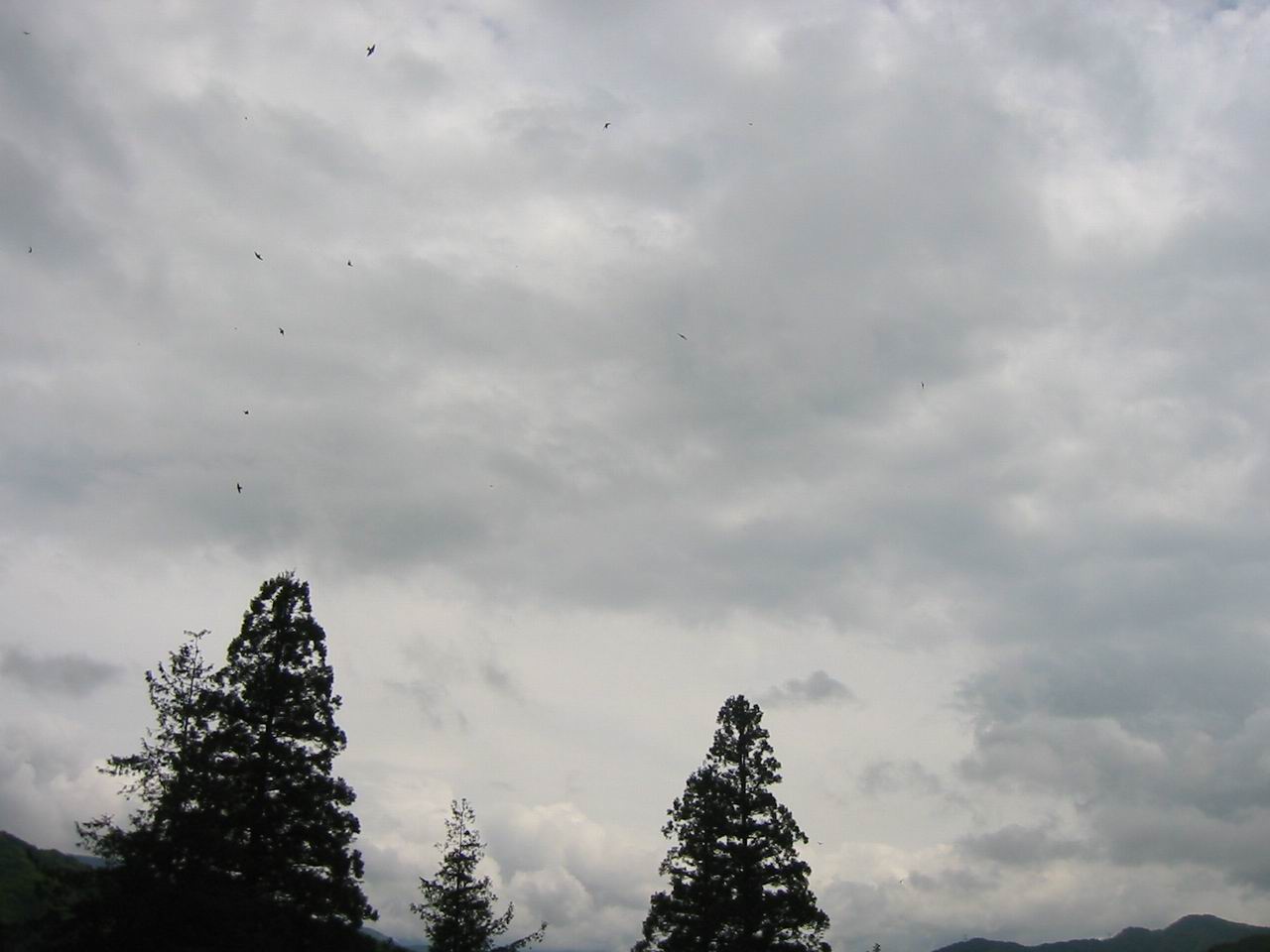 a0109912_752291.jpg