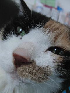 c0201113_19325281.jpg