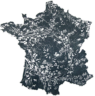 b0179814_19194518.jpg