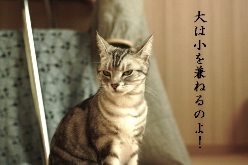 a0129020_17253836.jpg