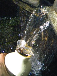 d0024220_15193952.jpg