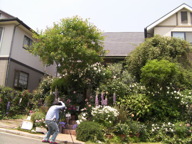 c0204121_2248280.jpg