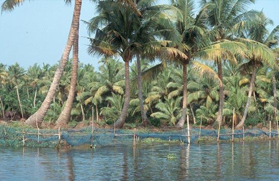 e0187521_1015964.jpg