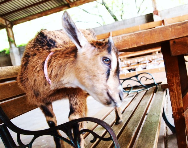 f0031722_2223851.jpg