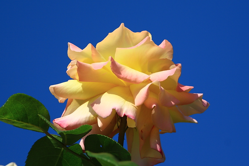 f0031423_23361649.jpg