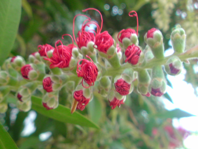 e0016828_22401412.jpg