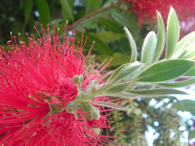e0016828_2328406.jpg