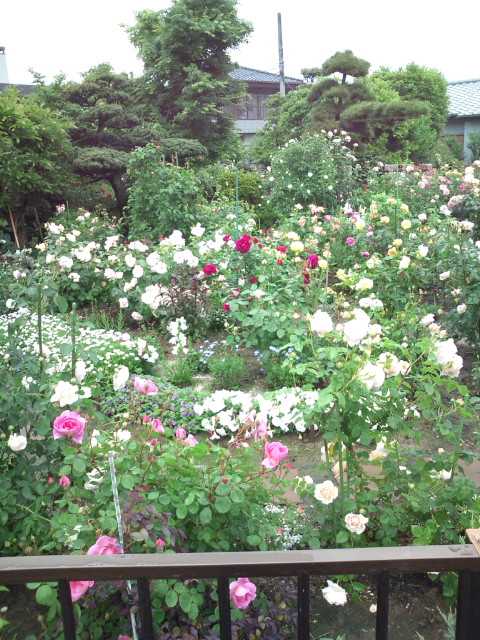 d0077029_759331.jpg
