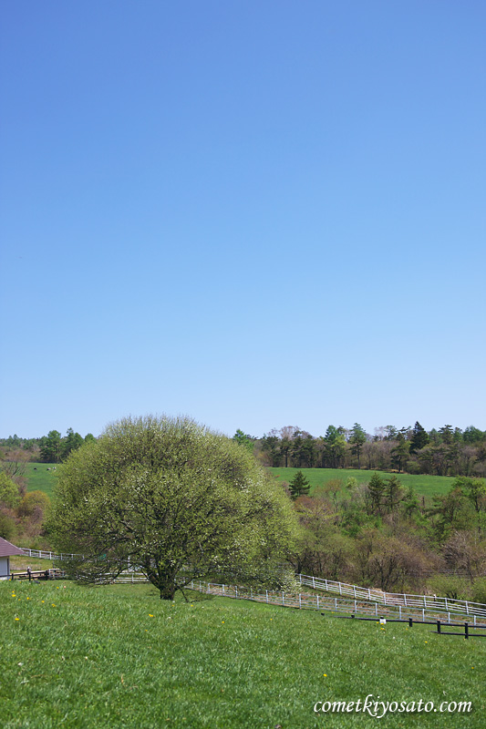 b0179231_2254507.jpg