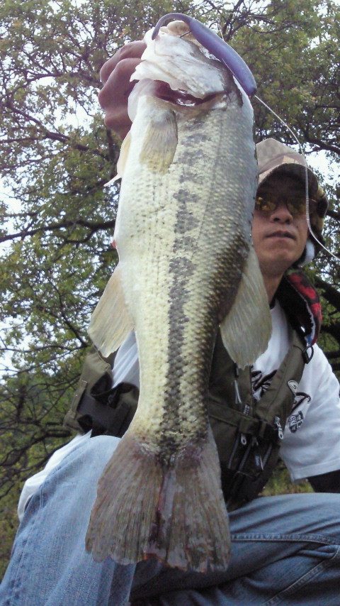 d0051236_1150536.jpg