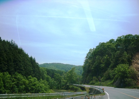 a0159041_1755029.jpg