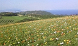e0113944_027916.jpg