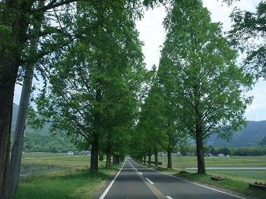 e0126046_23175650.jpg