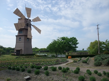 e0126046_2374355.jpg