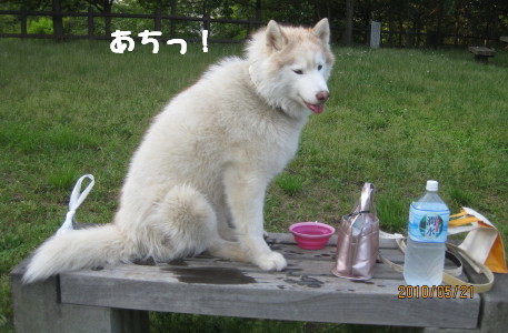 e0121548_22193264.jpg