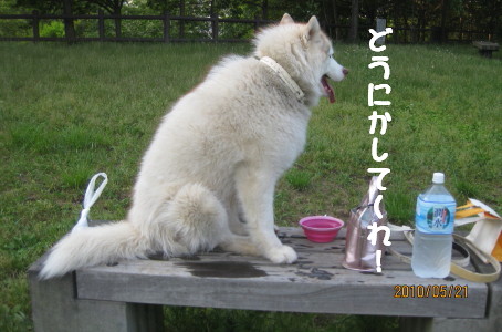 e0121548_22194878.jpg