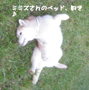 e0121548_2221238.jpg