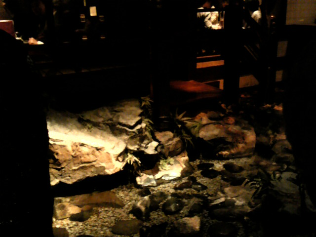 c0164652_194099.jpg