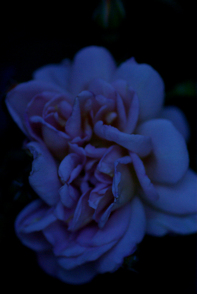 f0176353_20511843.jpg