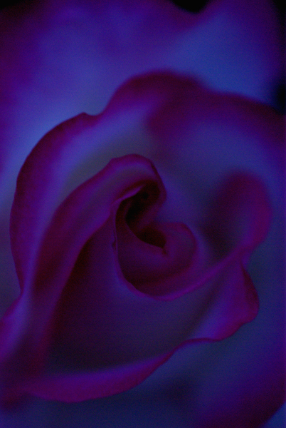 f0176353_20513848.jpg