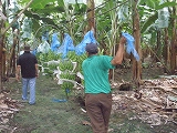 f0204553_13284585.jpg