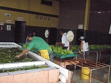 f0204553_1329988.jpg