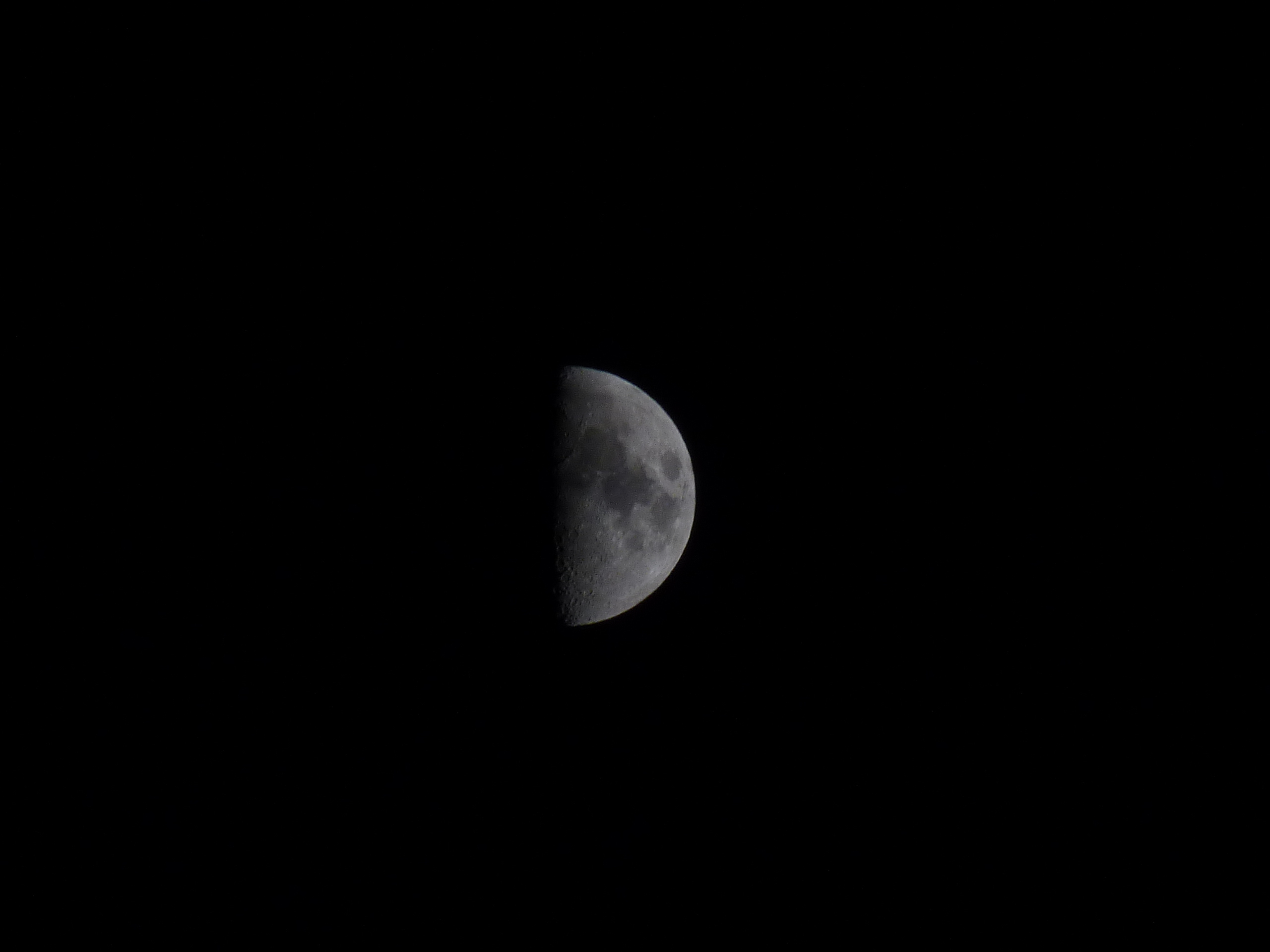 c0142254_1995161.jpg