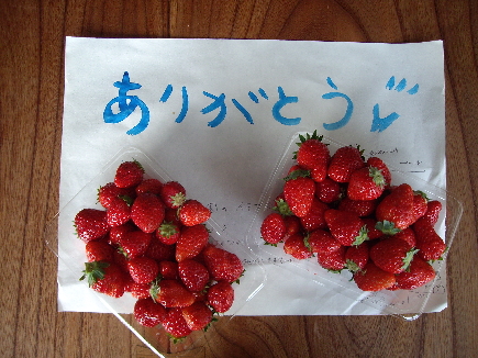 c0224154_0494125.jpg