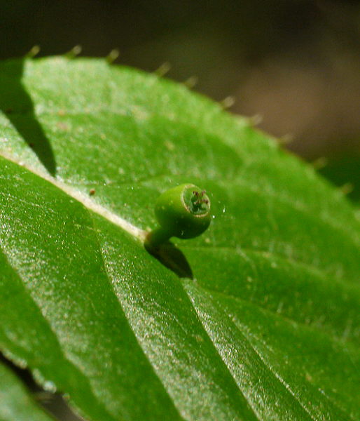 d0091754_0244798.jpg