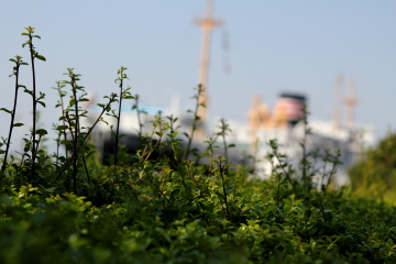 a0001756_21412525.jpg