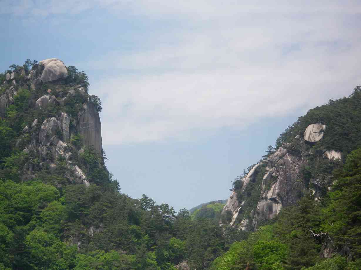 d0008157_213752.jpg