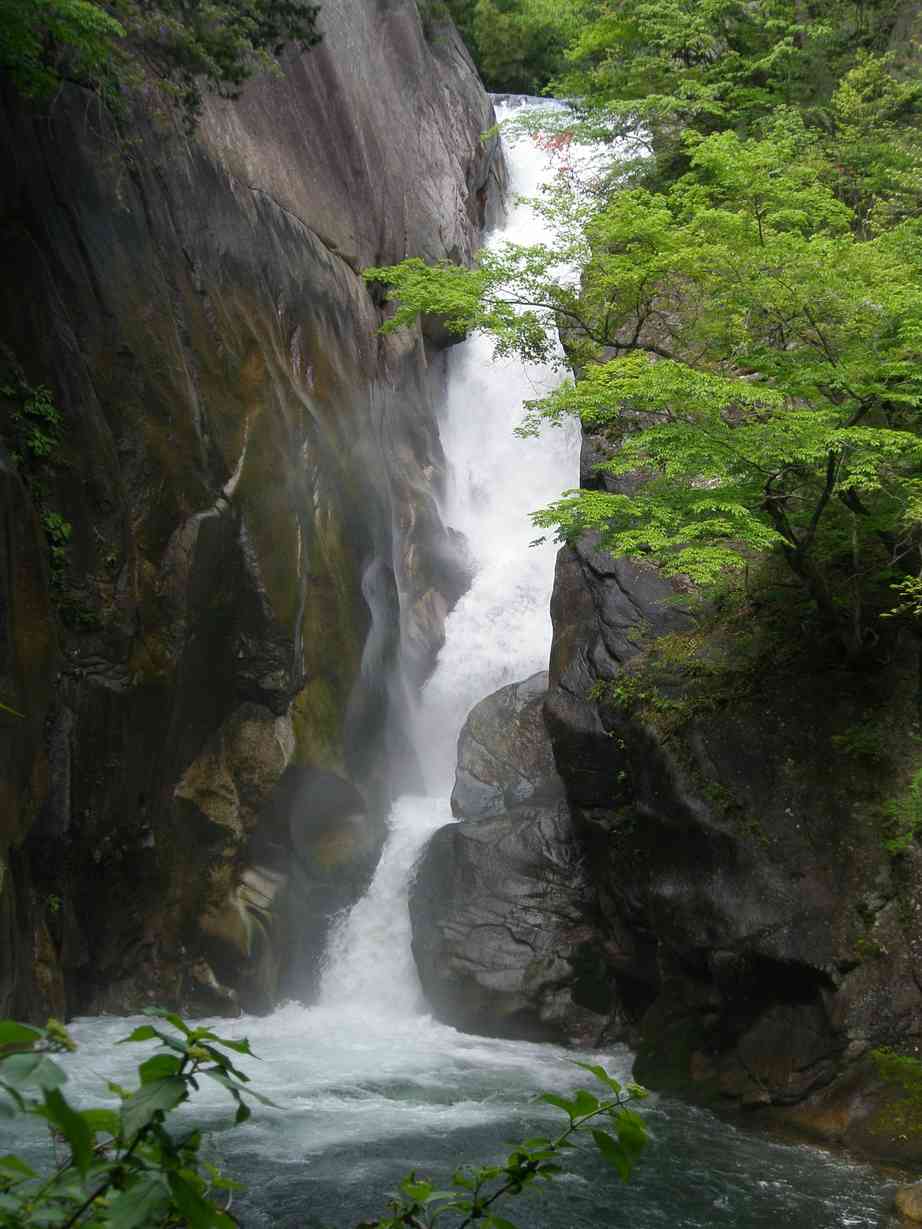 d0008157_221463.jpg