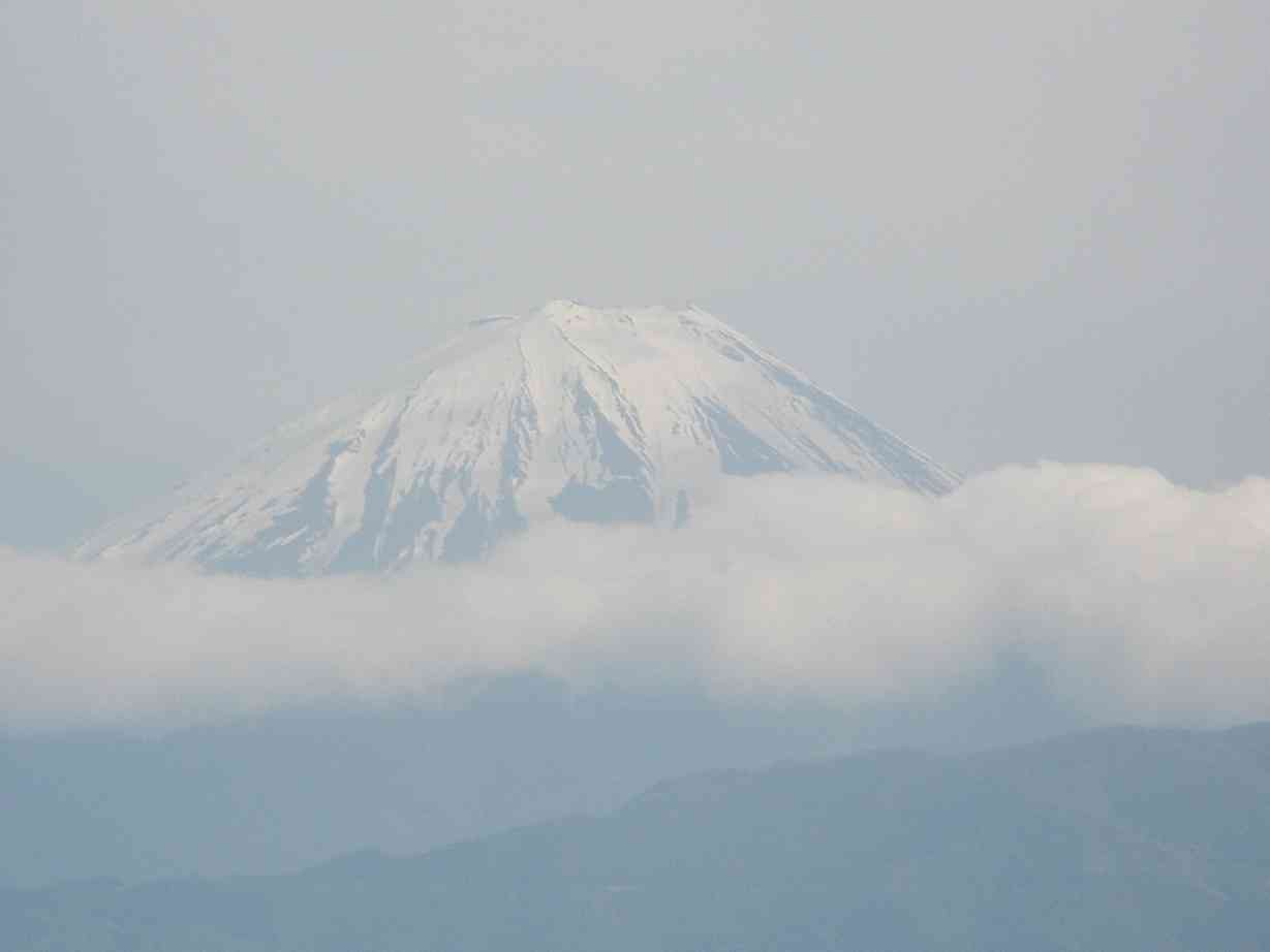 d0008157_22256.jpg