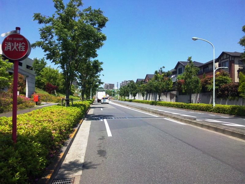 c0214259_1853561.jpg