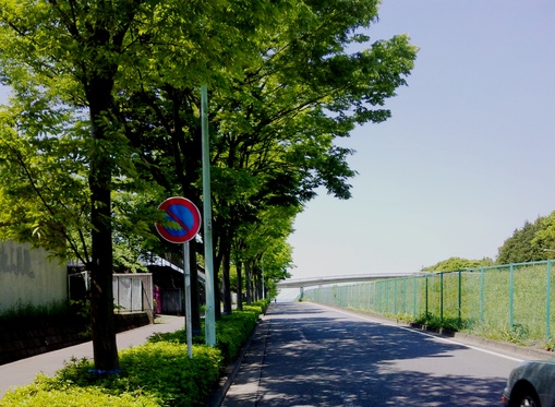 c0214259_1904483.jpg