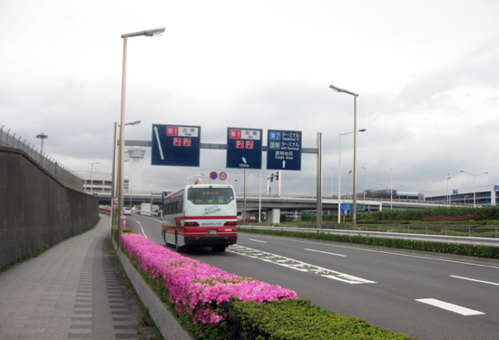 b0064461_21443748.jpg