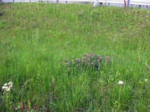 b0064461_21455156.jpg