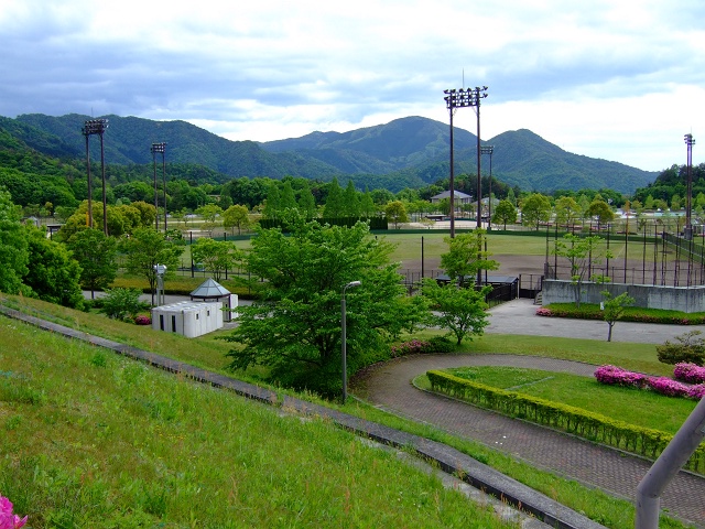 b0095061_813130.jpg