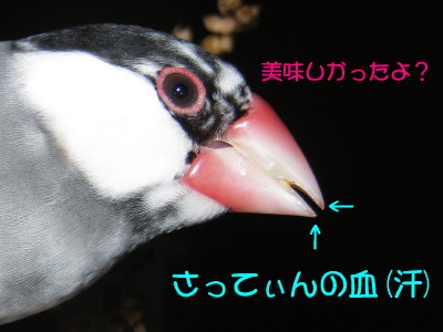 b0158061_21244912.jpg