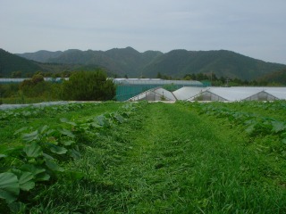 f0055264_23272358.jpg