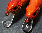 a0096669_21452940.jpg
