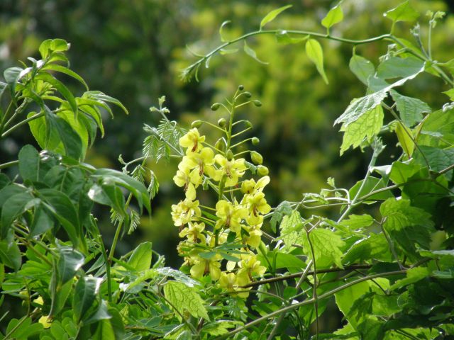 c0042869_19271480.jpg