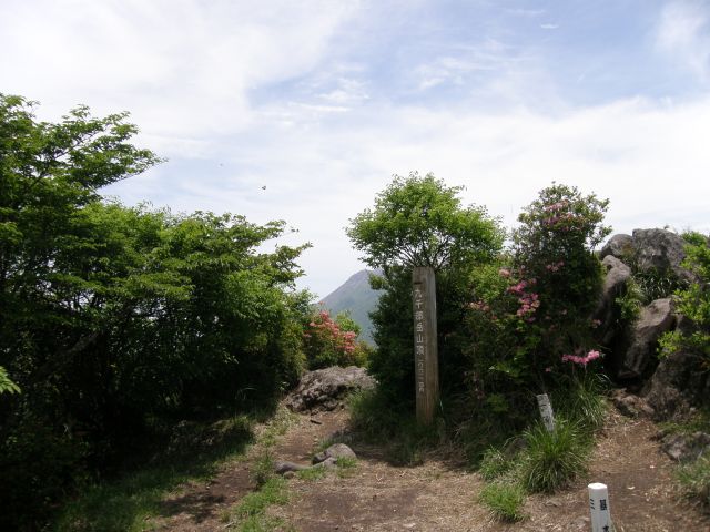 c0042869_1937619.jpg