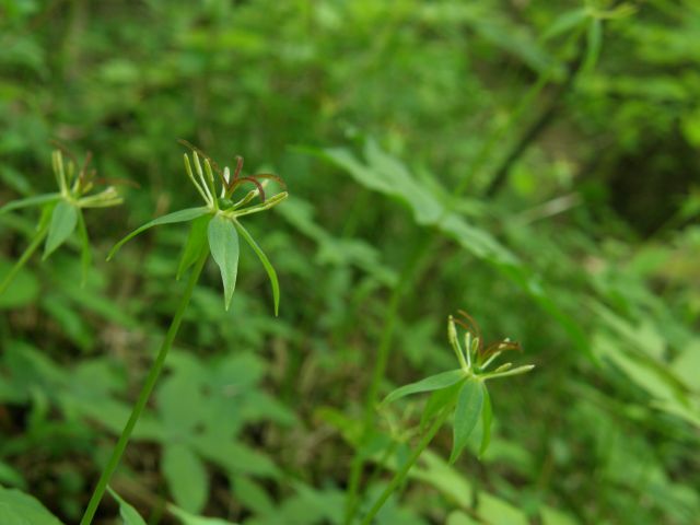 c0042869_19385270.jpg