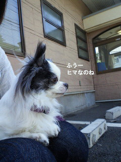 d0034273_15561795.jpg