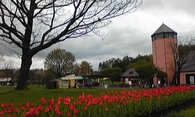 c0061774_17512798.jpg
