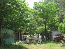 f0053885_20371483.jpg