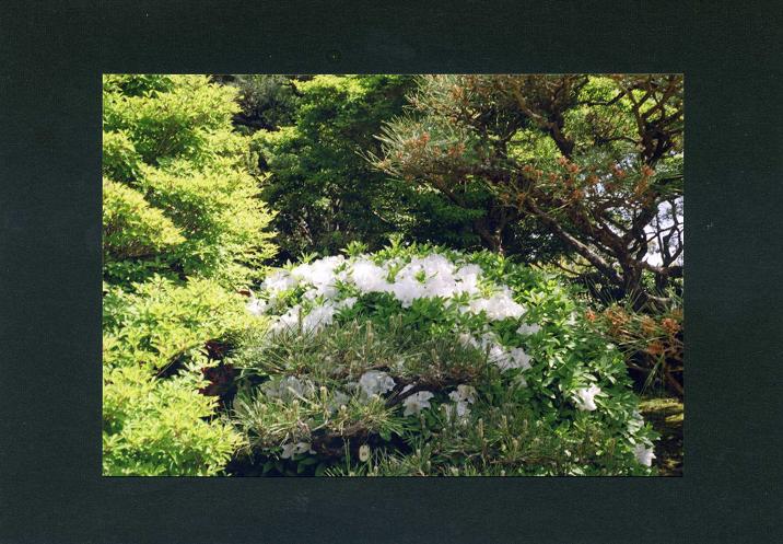 c0046587_048232.jpg